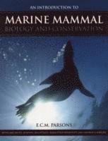 bokomslag An Introduction to Marine Mammal Biology and Conservation
