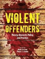 bokomslag Violent Offenders: Theory, Research, Policy, And Practice