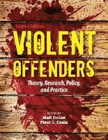 Matt DeLisi, Peter J. Conis - Violent Offenders: Theory, Research, Policy, And Practice, Häftad