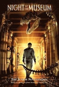 bokomslag Goldman, L: Night at the Museum