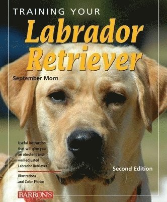 September Morn - Training Your Labrador Retriever, Häftad