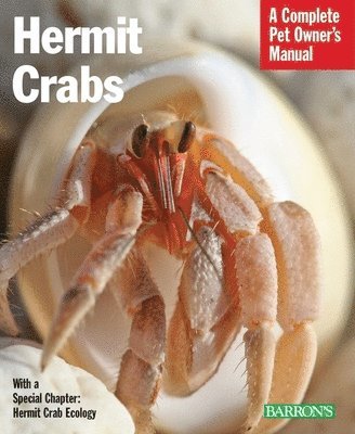 bokomslag Hermit Crabs: Everything about Purchase, Care, and Nutrition