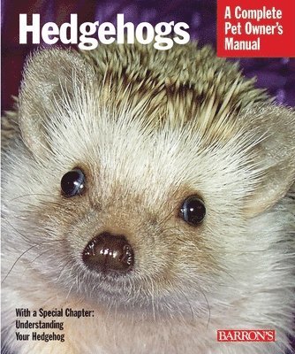 Hedgehogs 1