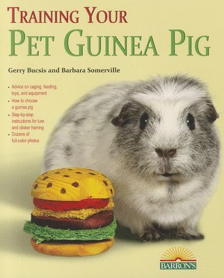 Training Your Pet Guinea Pig