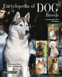 bokomslag Encyclopedia of Dog Breeds