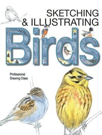 bokomslag Sketching & Illustrating Birds: Professional Drawing Class