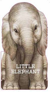 bokomslag Little Elephant