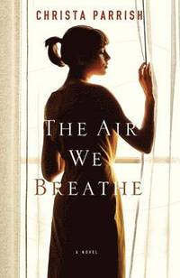 bokomslag Air We Breathe