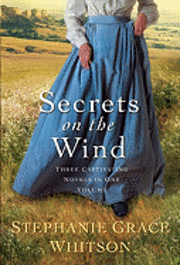 bokomslag Secrets on the Wind