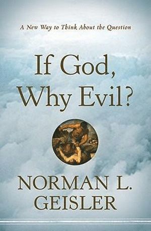 bokomslag If God, Why Evil? - A New Way to Think About the Question