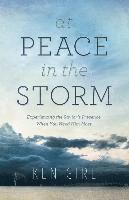 bokomslag At Peace in the Storm  Experiencing the Savior`s Presence When You Need Him Most