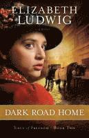 E Ludwig - Dark Road Home, Häftad
