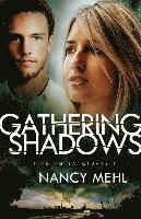 Nancy Mehl - Gathering Shadows, Häftad