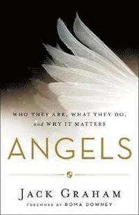 bokomslag Angels - Who They Are, What They Do, and Why It Matters