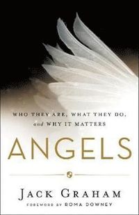 bokomslag Angels  Who They Are, What They Do, and Why It Matters