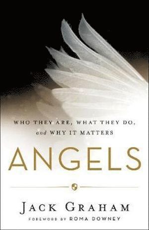 bokomslag Angels - Who They Are, What They Do, and Why It Matters