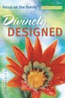 bokomslag Divinely Designed