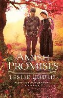 bokomslag Amish Promises