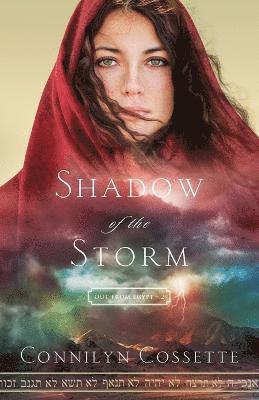 Shadow of the Storm 1