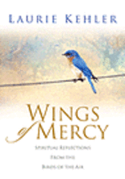 bokomslag Wings of Mercy