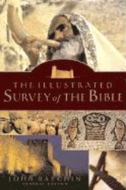 bokomslag The Illustrated Survey of the Bible