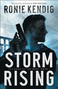 bokomslag Storm Rising