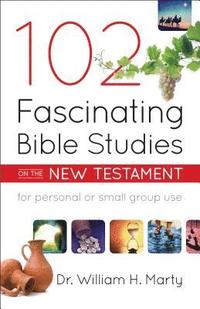 bokomslag 102 Fascinating Bible Studies on the New Testament