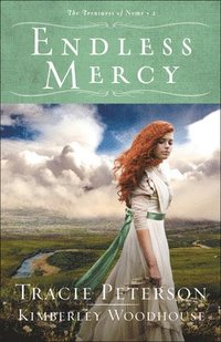 bokomslag Endless Mercy