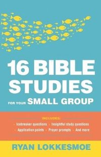 bokomslag 16 Bible Studies for Your Small Group
