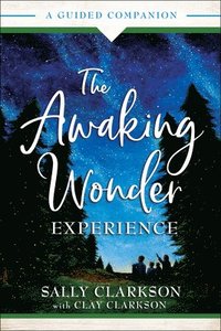 bokomslag The Awaking Wonder Experience  A Guided Companion