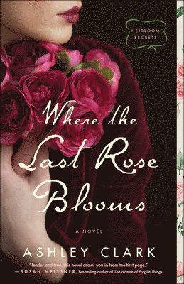 Ashley Clark - Where the Last Rose Blooms, Häftad