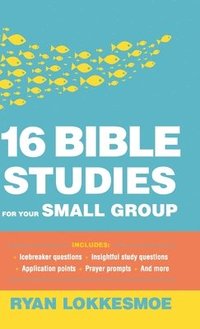 bokomslag 16 Bible Studies for Your Small Group