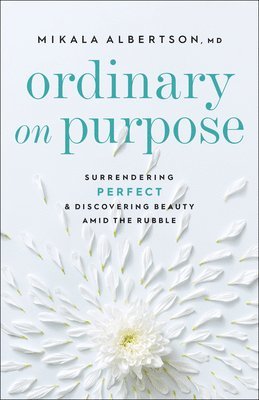 Ordinary on Purpose  Surrendering Perfect and Discovering Beauty amid the Rubble 1