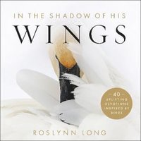 bokomslag In the Shadow of His Wings - 40 Uplifting Devotions Inspired by Birds