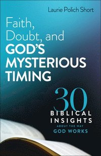 bokomslag Faith, Doubt, and God`s Mysterious Timing  30 Biblical Insights about the Way God Works