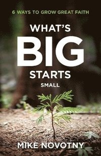 bokomslag What`s Big Starts Small - 6 Ways to Grow Great Faith