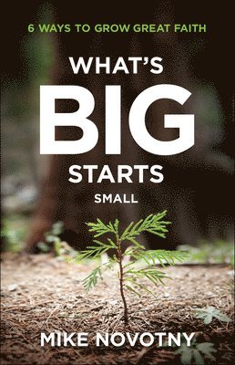 What`s Big Starts Small  6 Ways to Grow Great Faith 1