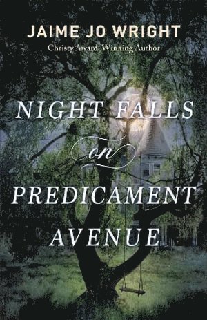 bokomslag Night Falls on Predicament Avenue