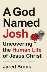 bokomslag God Named Josh