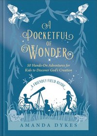 bokomslag A Pocketful of Wonder