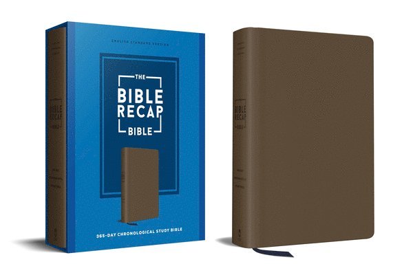 The Bible Recap 365-Day Chronological Study Bible 1