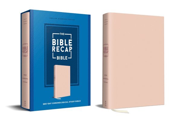 Tara-Leigh Cobble, Tara-Leigh Cobble - Bible Recap 365-Day Chronological Study Bible, Inbunden