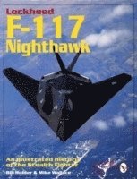Lockheed F-117 Nighthawk