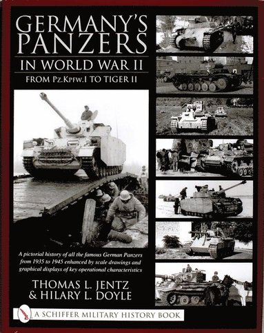 bokomslag Germany's Panzers in World War II