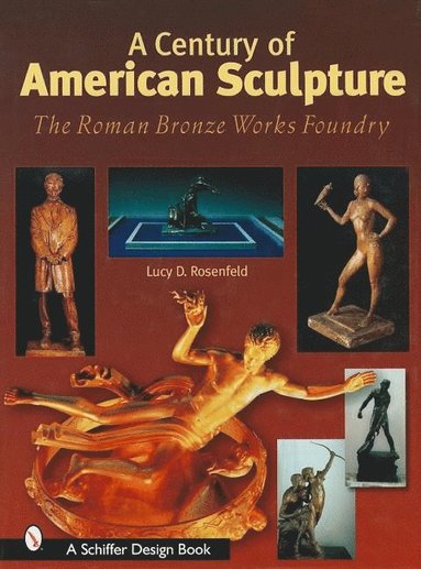 bokomslag Century of American Sculpture