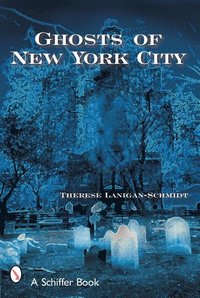 bokomslag Ghosts of New York City