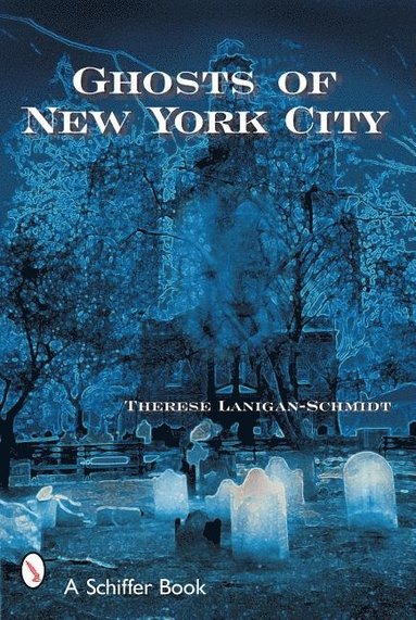 bokomslag Ghosts of New York City