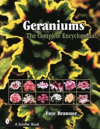 bokomslag Geraniums