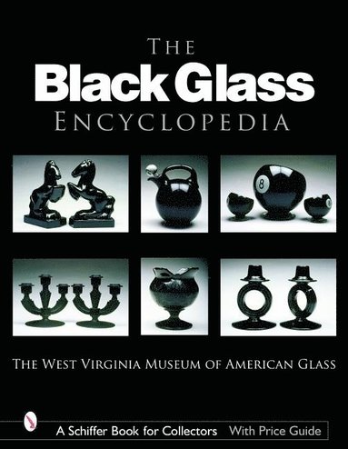 bokomslag The Black Glass Encyclopedia