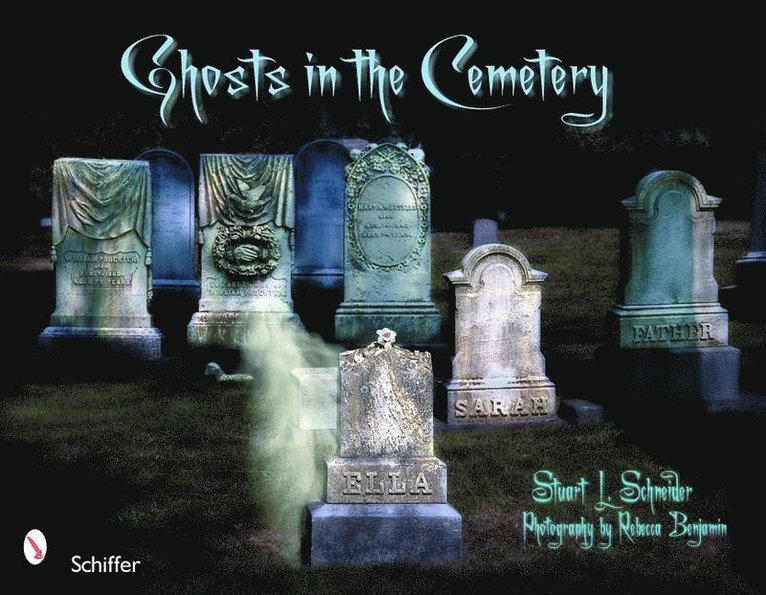 Stuart L. Schneider, Stuart Schneider, Stuart L Schneider - Ghosts in the Cemetery: A Pictorial Study, Häftad
